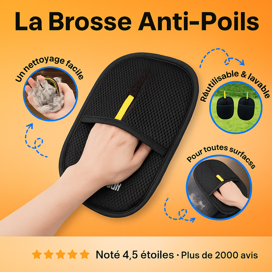 Brosse Anti-Poils